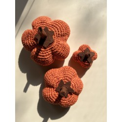 Thea´s  Pumpkin Patch Paradise - Haakpatroon (NL) -  PDF