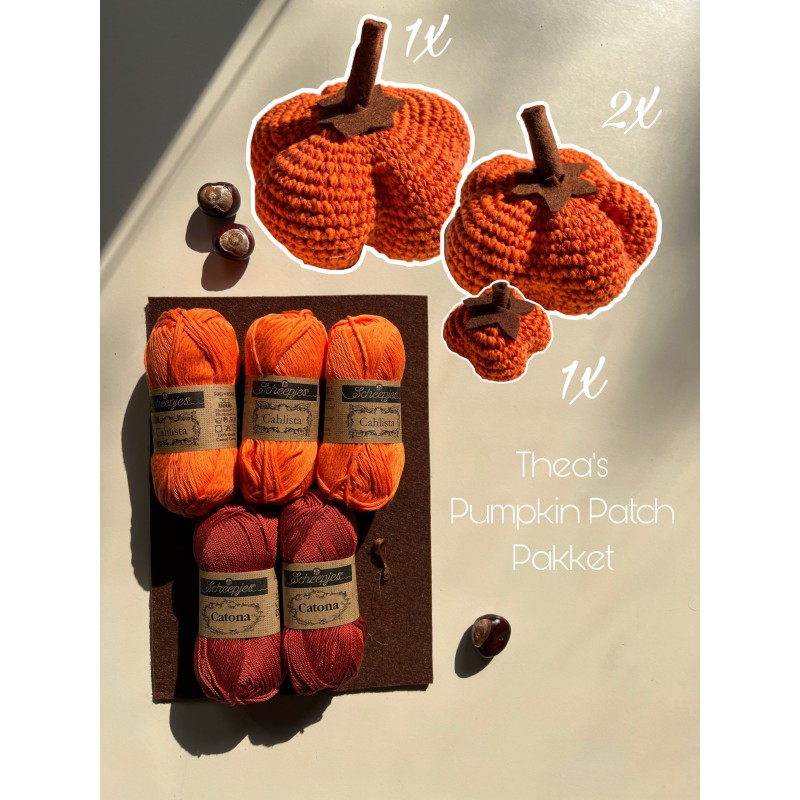 Thea´s  Pumpkin Patch Paradise - Haakpatroon (NL) -  PDF